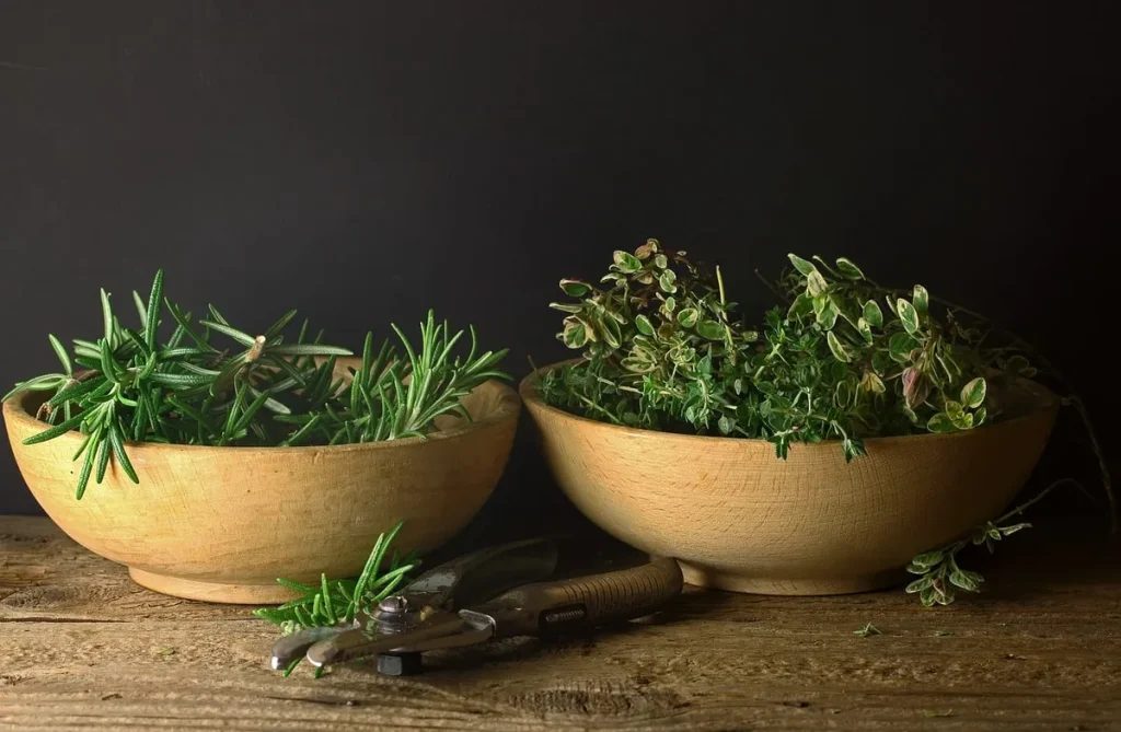 Méthode Verdari potager gersois en permaculture