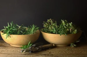 Méthode Verdari potager gersois en permaculture